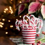 万博体育app的功能介绍,让你畅享全方位的体育体验 69jto2zc