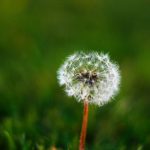 万象城:探索城市生活新风尚的购物天堂 864y4t