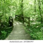 三易博娱乐:探索全新在线娱乐体验的最佳选择 f3g5es4p9y