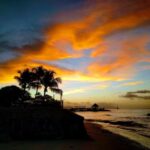 16799开奖下载最新版官方正版免费安装 301g7ocl