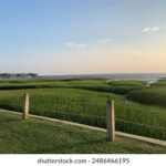 166期开奖结果最新公布,速来查看幸运号码 8huw9rcw