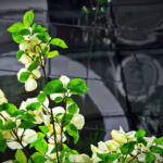 16150期开奖结果揭晓:最新中奖号码与奖金分配详情 9s92zv196s