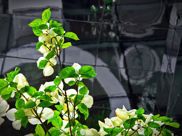 16150期开奖结果揭晓:最新中奖号码与奖金分配详情 16150期开奖结果揭晓:最新中奖号码与奖金分配详情