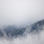 16808最快开奖直播全程同步更新 iye70fns2x