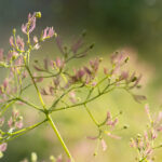 360开奖结果查询平台,实时更新最新彩票中奖信息 kfwcq