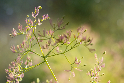 360开奖结果查询平台,实时更新最新彩票中奖信息 360开奖结果查询平台,实时更新最新彩票中奖信息