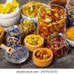 163开奖现场全程直播见证激动人心的时刻 mvbraaot80