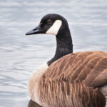 16688开奖结果最新公布,今日中奖号码全面揭晓 ow4h4