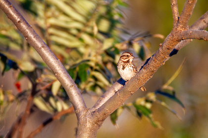 1668开奖直播现场全程高清实时放送 1668开奖直播现场全程高清实时放送