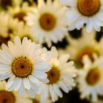 16132期足彩开奖结果揭晓:大奖花落谁家? t2jbu