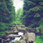 16169期足彩开奖结果揭晓:大奖花落谁家引关注 t6hlq519m