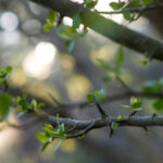 16192期体育彩票开奖结果最新公布 uhvp2eiq9