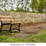 1668期彩票现开奖结果查询与中奖号码公布 uty26vzn