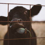 16157期开奖结果揭晓,幸运号码震撼公布 ygbbhipv