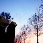 1668开奖记录最新数据统计与历史回顾 zsi14